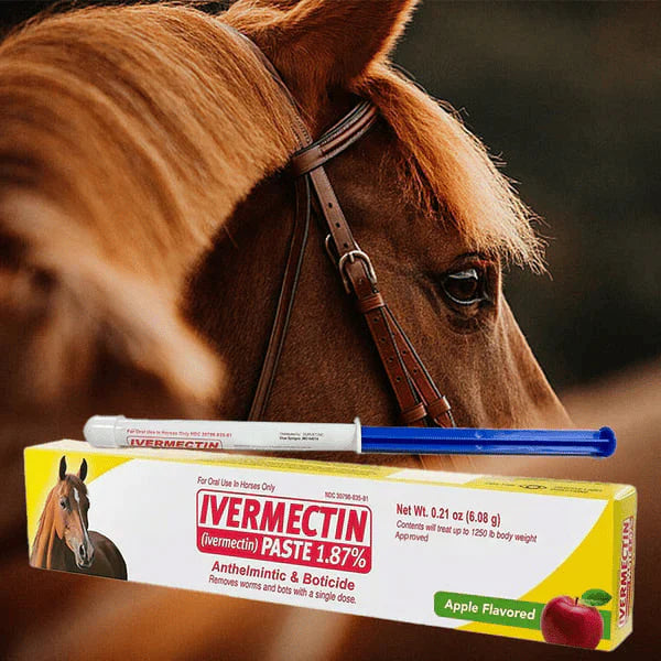 🔥Last Day 49% OFF - Durvet Ivermectin Horse Paste 1.87% 6.08g Tubes