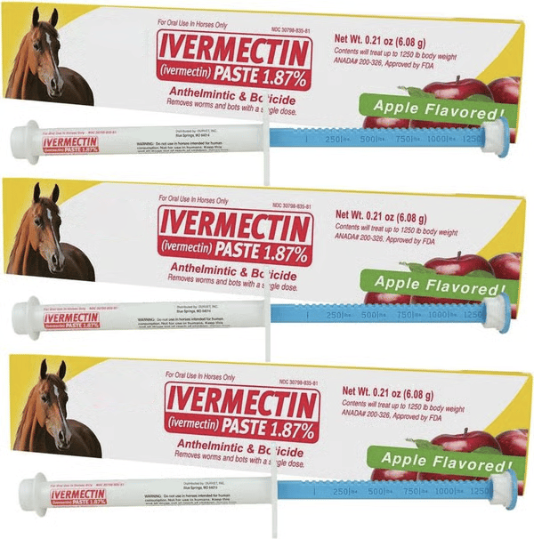 🔥Last Day 49% OFF - Durvet Ivermectin Horse Paste 1.87% 6.08g Tubes