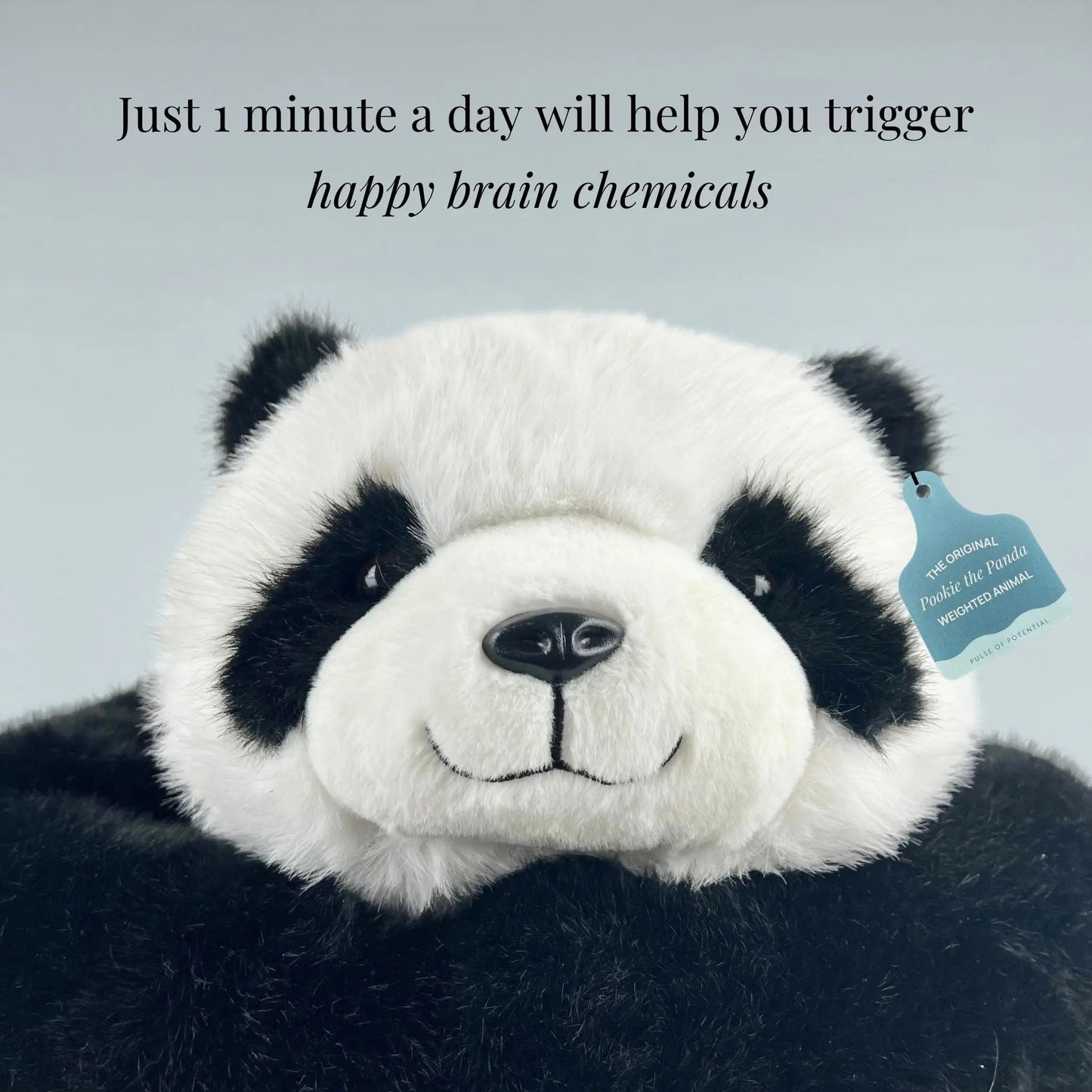 Pookie the Panda Weighted Animal