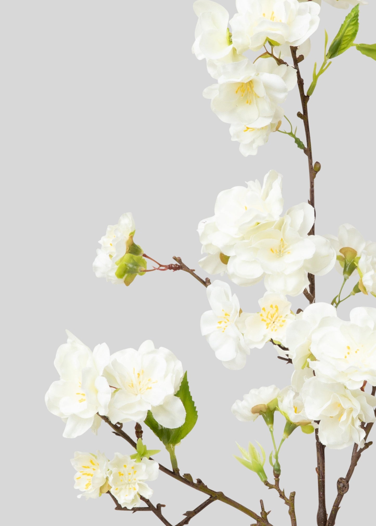 Cream Artificial Cherry Blossom Branch Pick - 18"