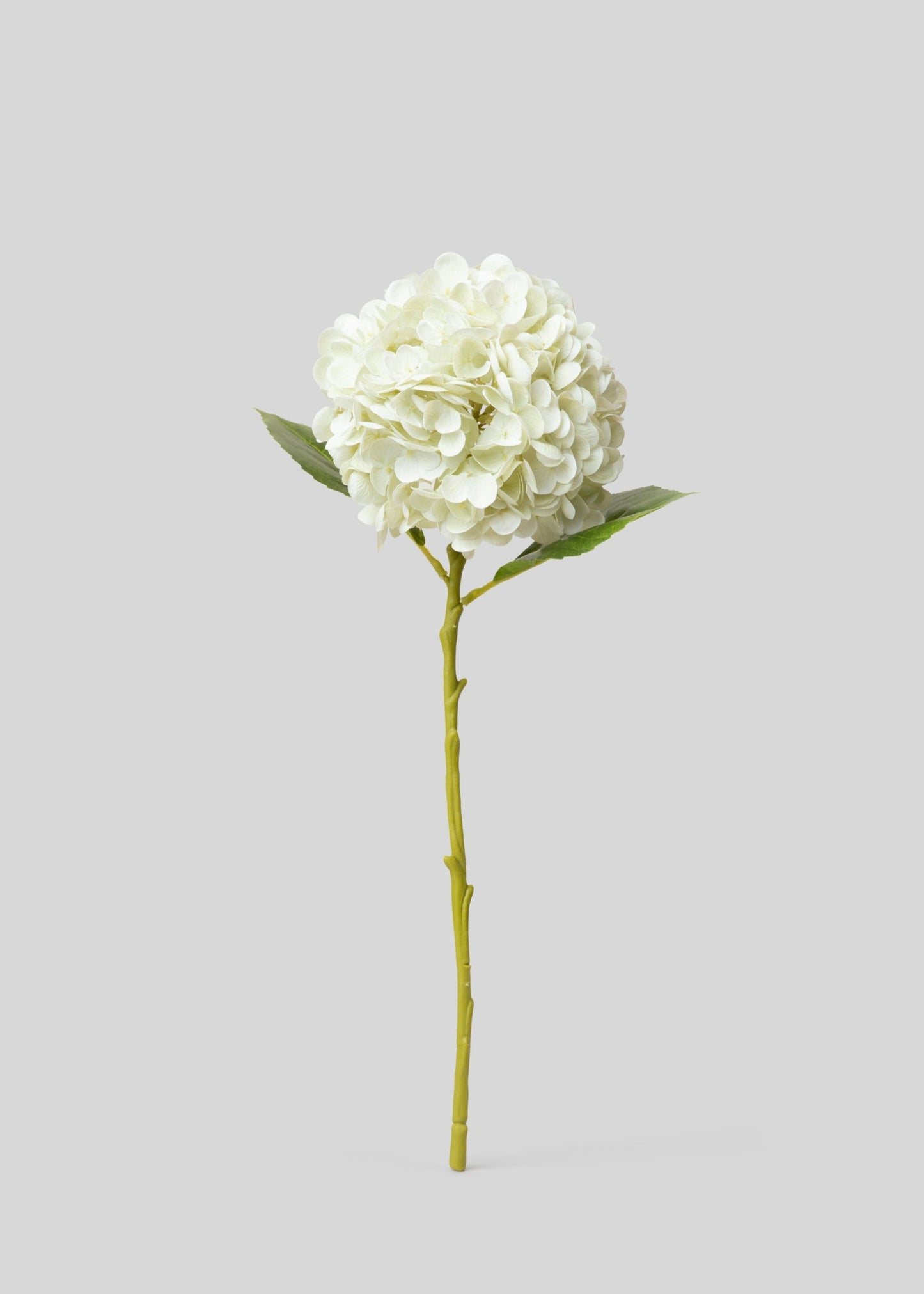 Cream White Hydrangea Real Touch Fake Flower - 18.5"