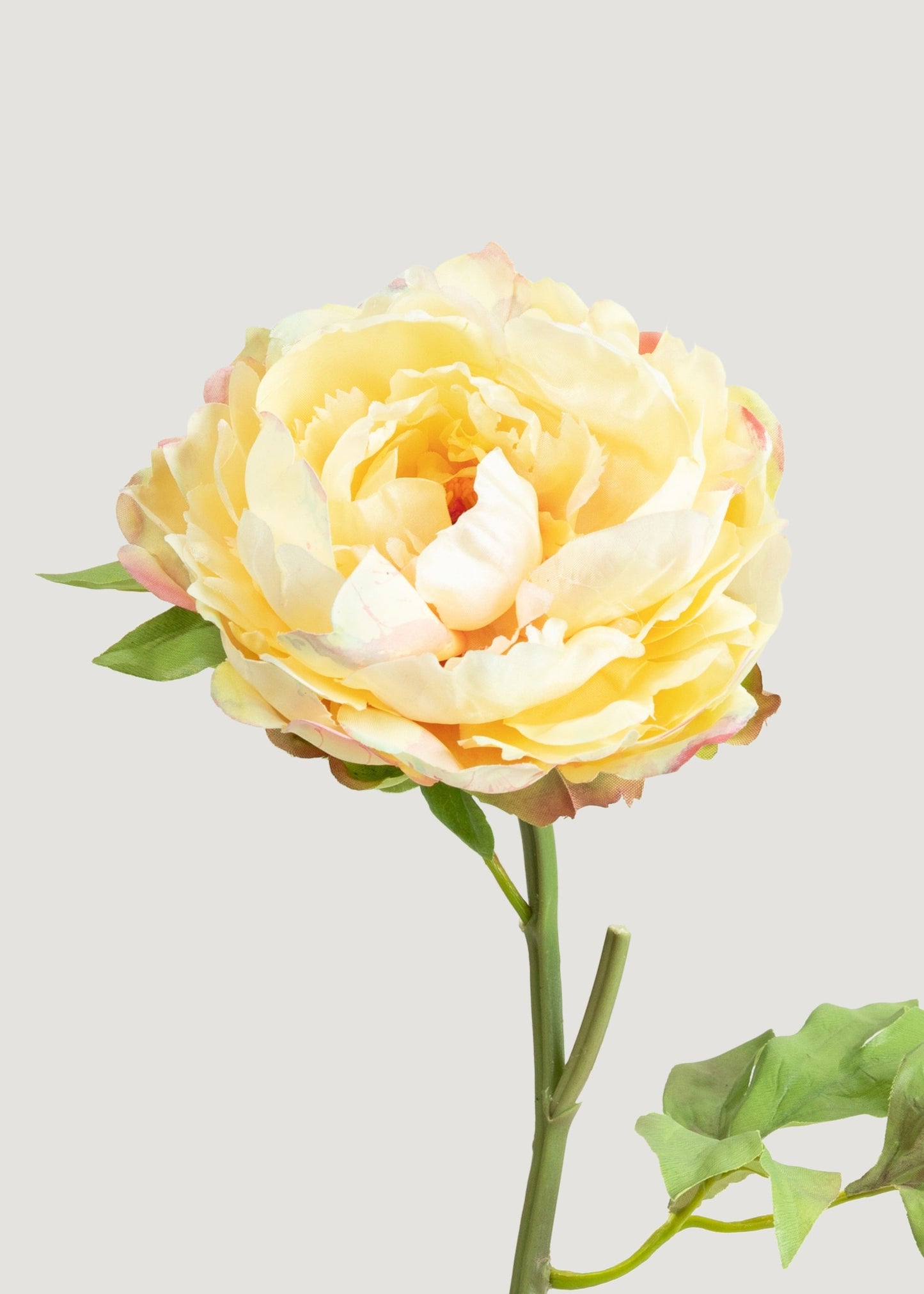 Real Touch Peony in Yellow Watercolor Palette - 20"