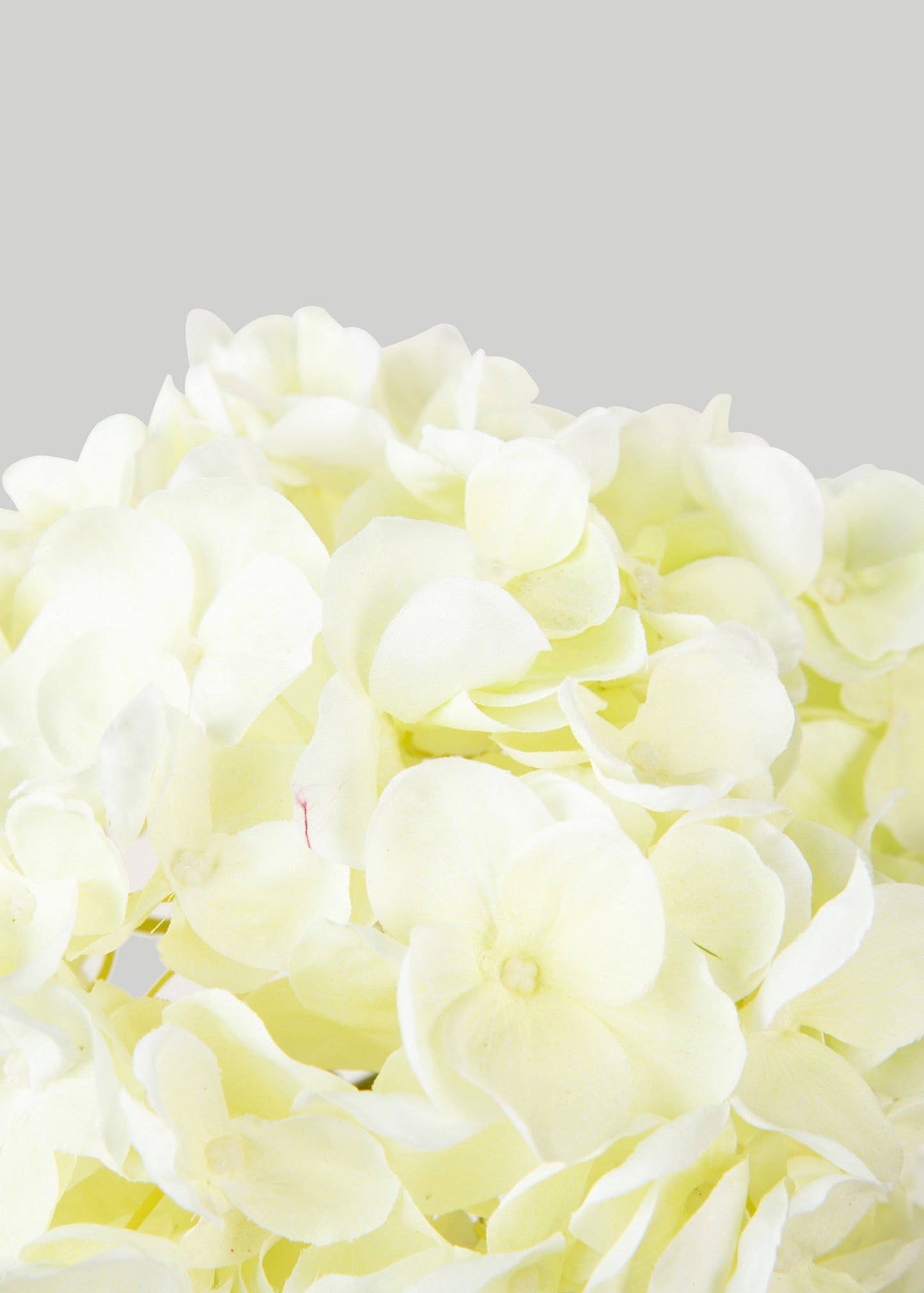 Large White Artificial Hydrangea Flower - 24" x 9" Bloom