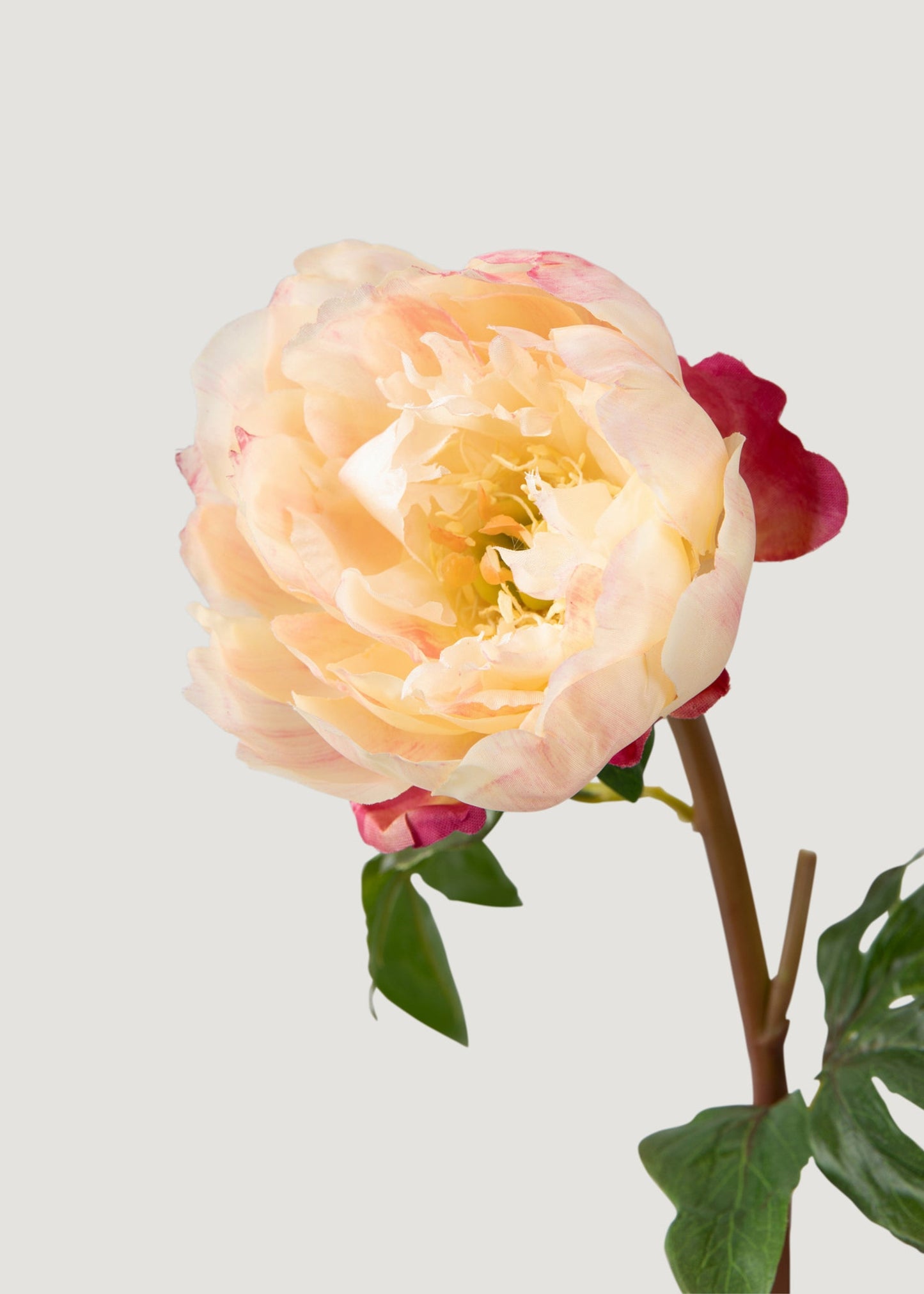 Fake Peony Flower in Peach Pink - 20"