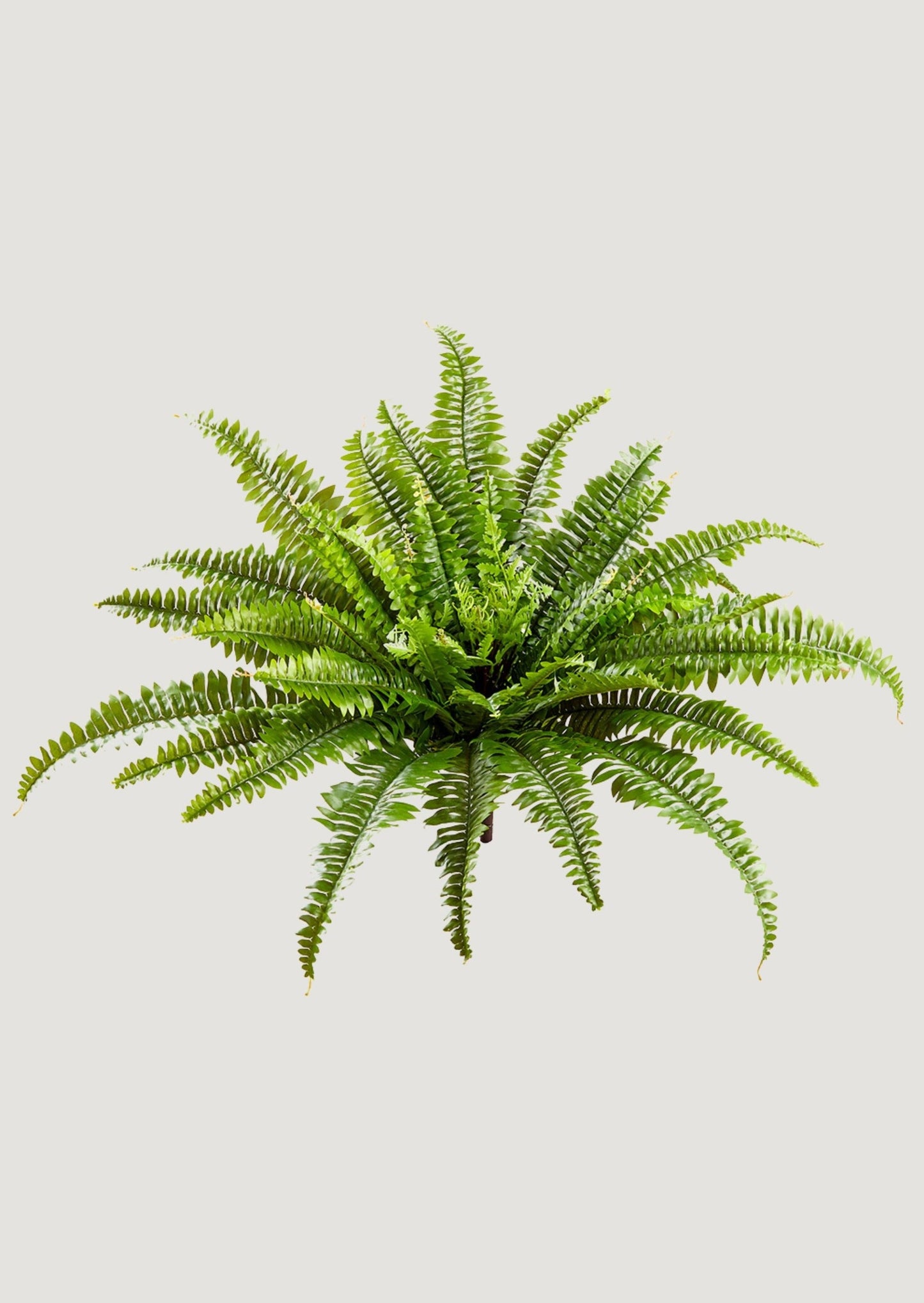 UV Resistant Indoor/Outdoor Fake Boston Fern Plant - 23"