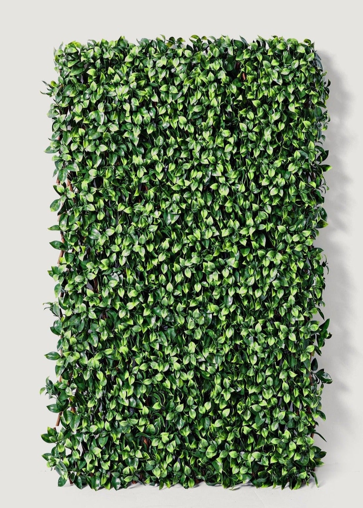 UV Resistant Outdoor Fake Gardenia Trellis Fence - 78.5"