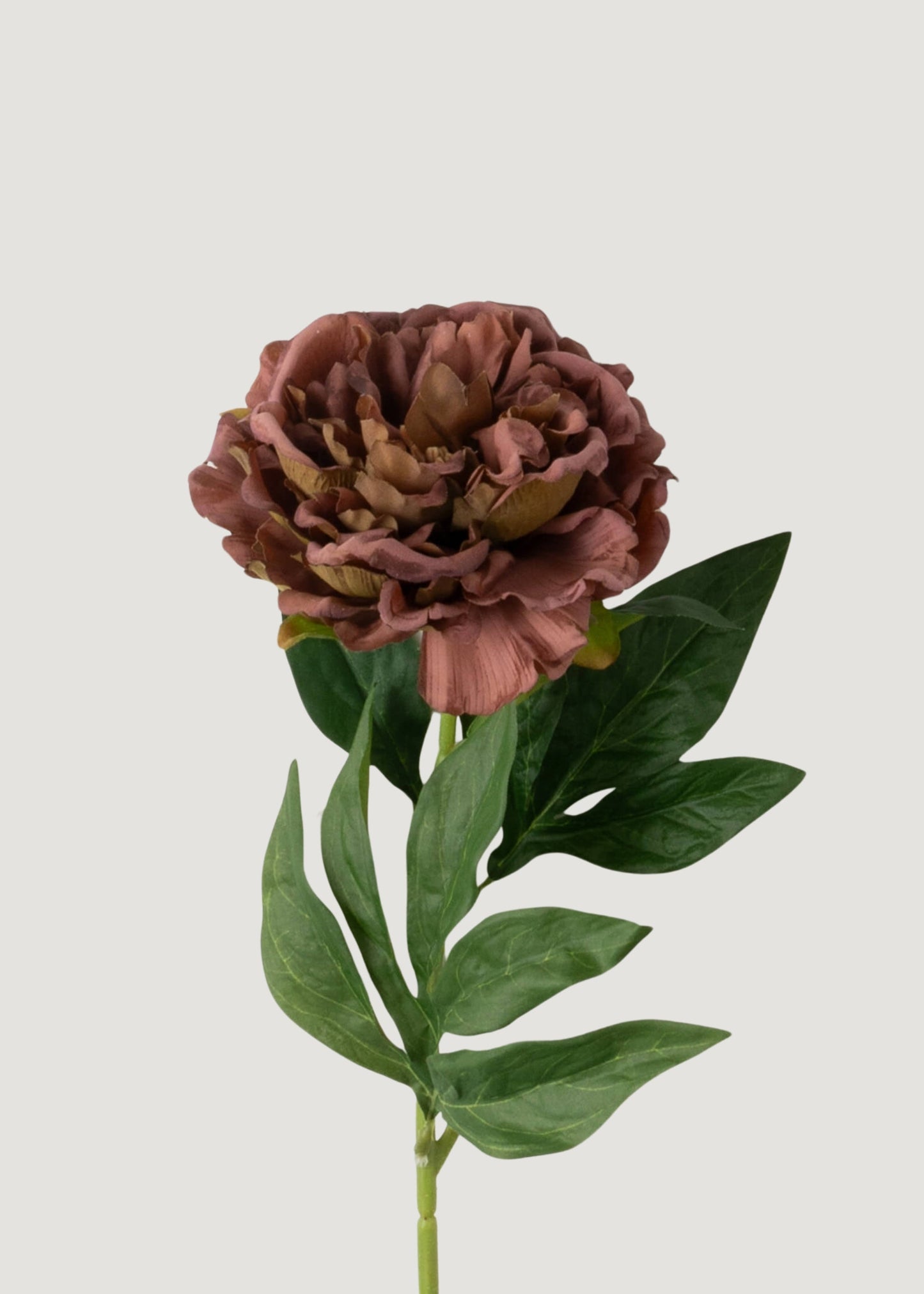 Artificial Mauve Brown Real Touch Peony Flower - 24.5"