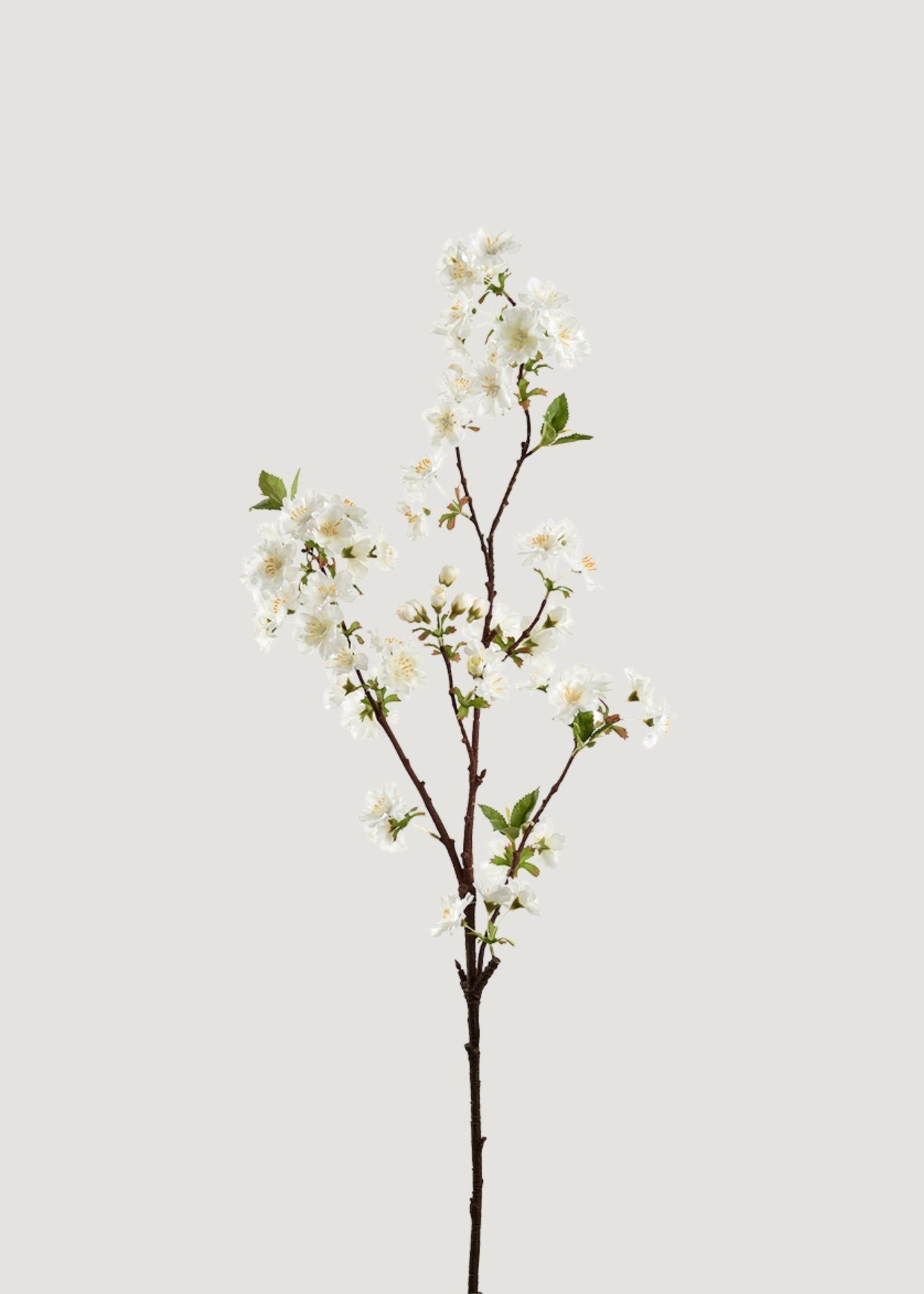 Cream White Artificial Cherry Blossom Branch - 36"
