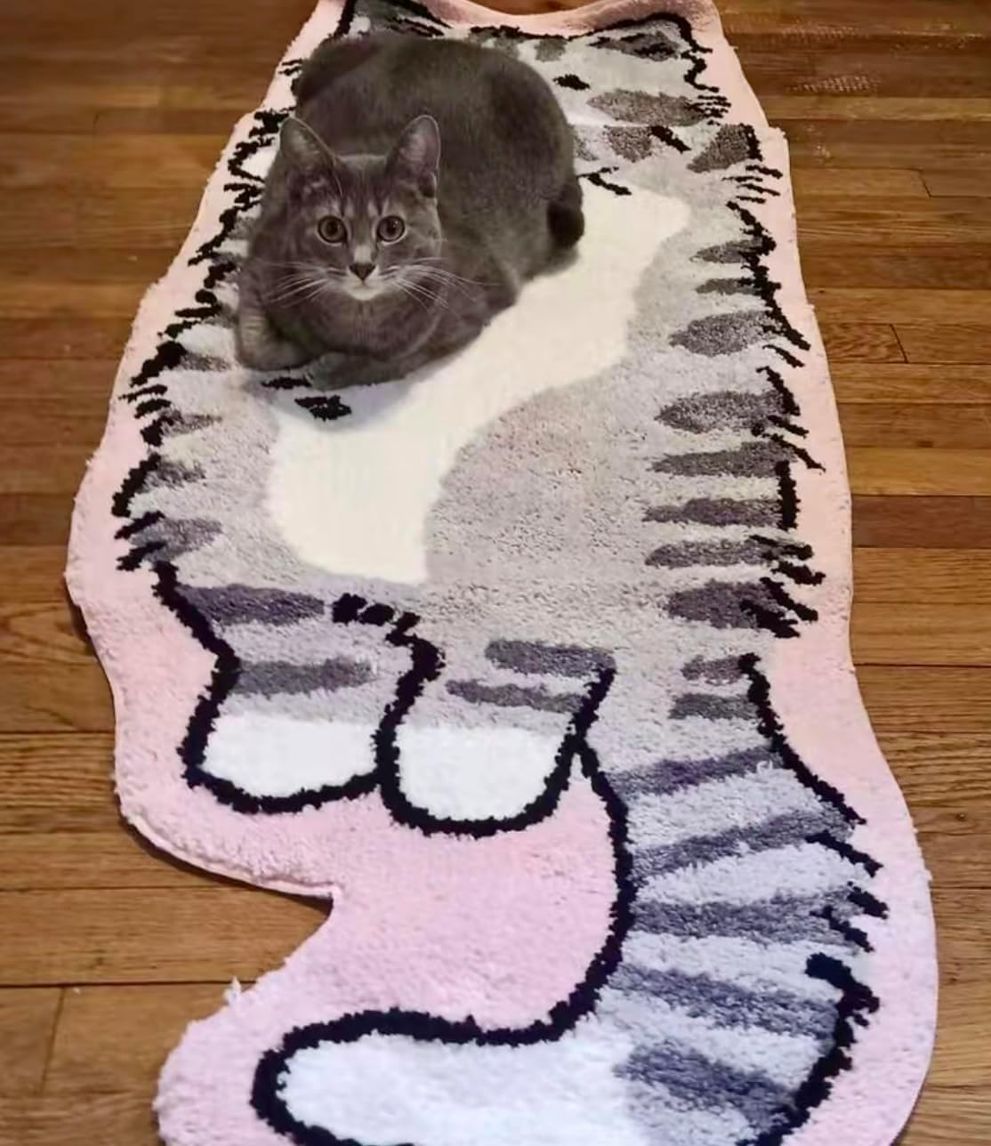❄️☃️Christmas Gift for your furry friends🎁Cat Rug