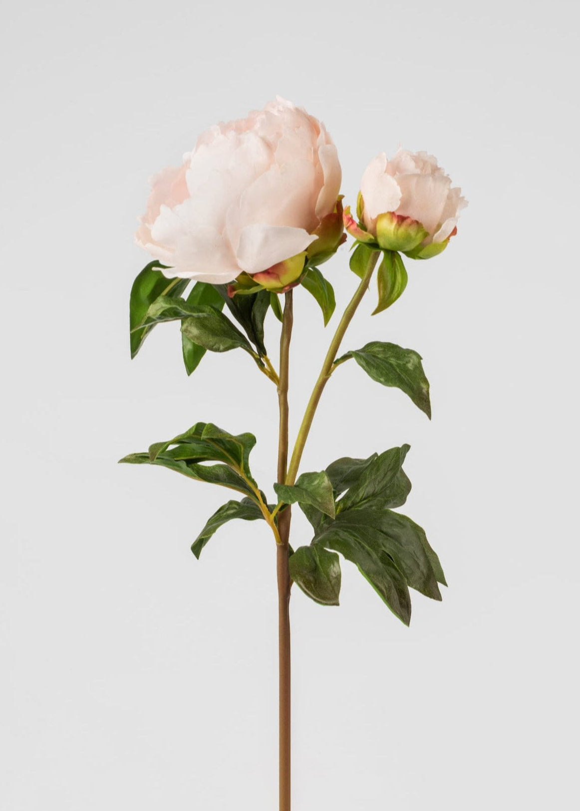 Real Touch Kunstblumen, Blush Peony – 27 Zoll