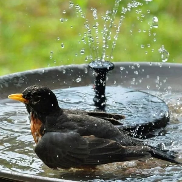 💥Buy 2 Free Shipping💥Solar Powered Water Fountain