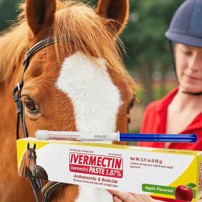 🔥Last Day 49% OFF - Durvet Ivermectin Horse Paste 1.87% 6.08g Tubes