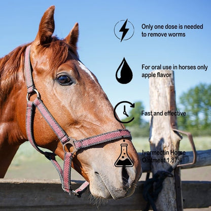 🔥Last Day 49% OFF - Durvet Ivermectin Horse Paste 1.87% 6.08g Tubes