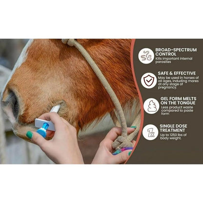 🔥Last Day 49% OFF - Durvet Ivermectin Horse Paste 1.87% 6.08g Tubes