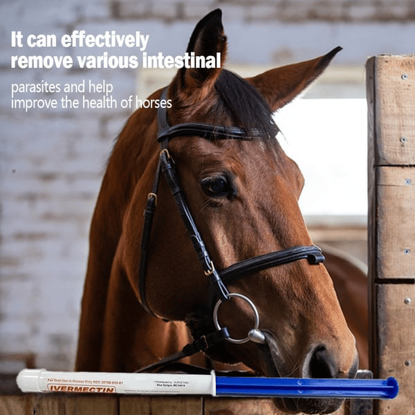 🔥Last Day 49% OFF - Durvet Ivermectin Horse Paste 1.87% 6.08g Tubes
