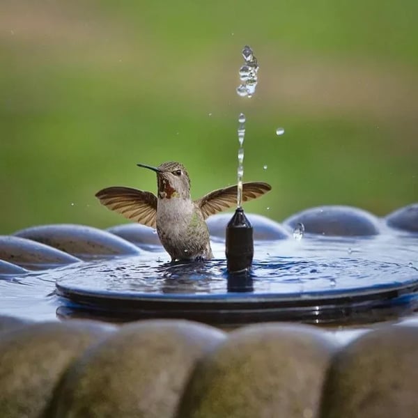 💥Buy 2 Free Shipping💥Solar Powered Water Fountain