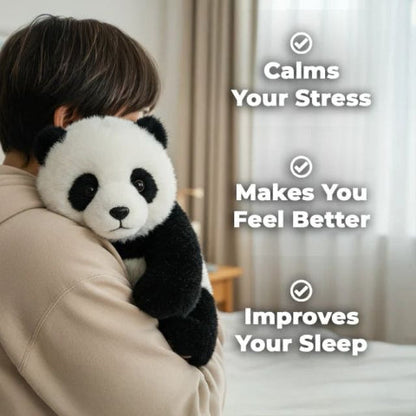 🐼Today – The Lifelike Cuddle Panda