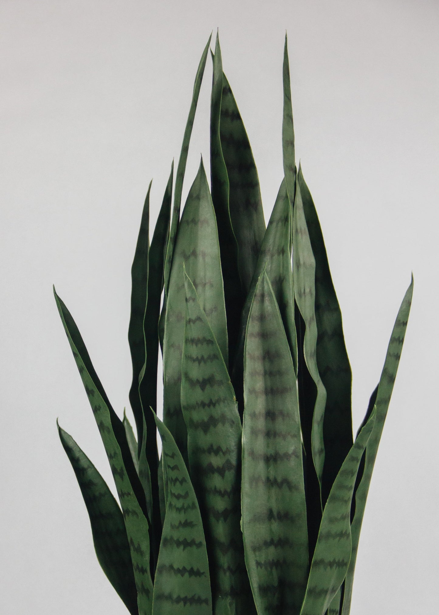 UV Treated Outdoor Fake Potted Snake Plant - 35"