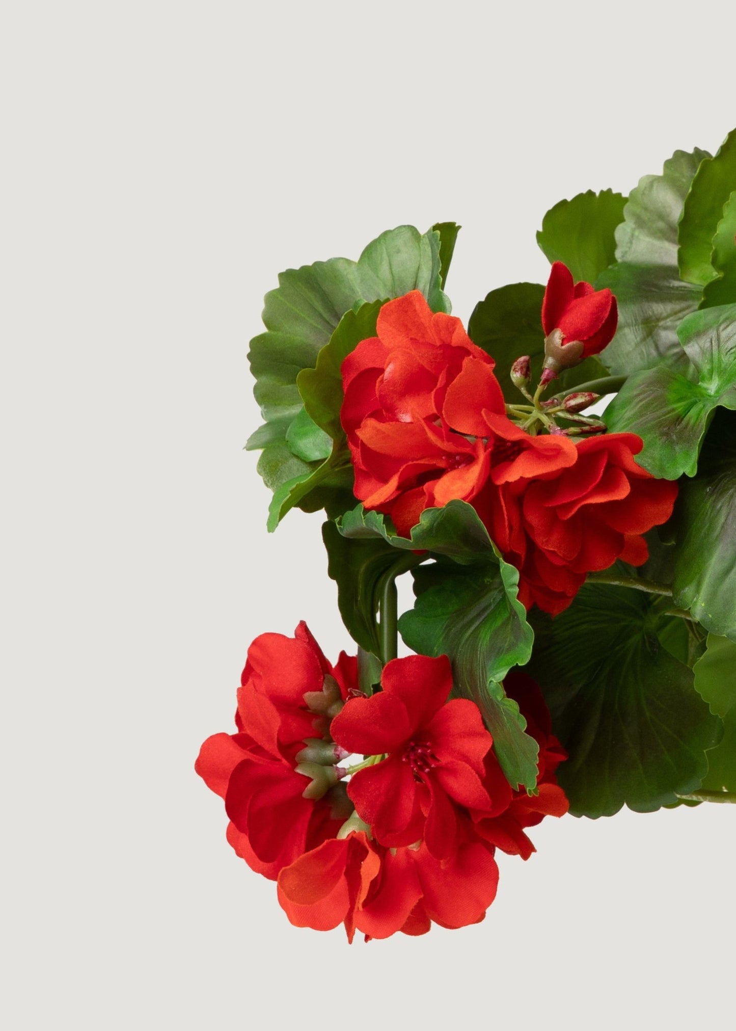 UV Resistant Indoor/Outdoor Natural Touch Geranium Bush - 17"