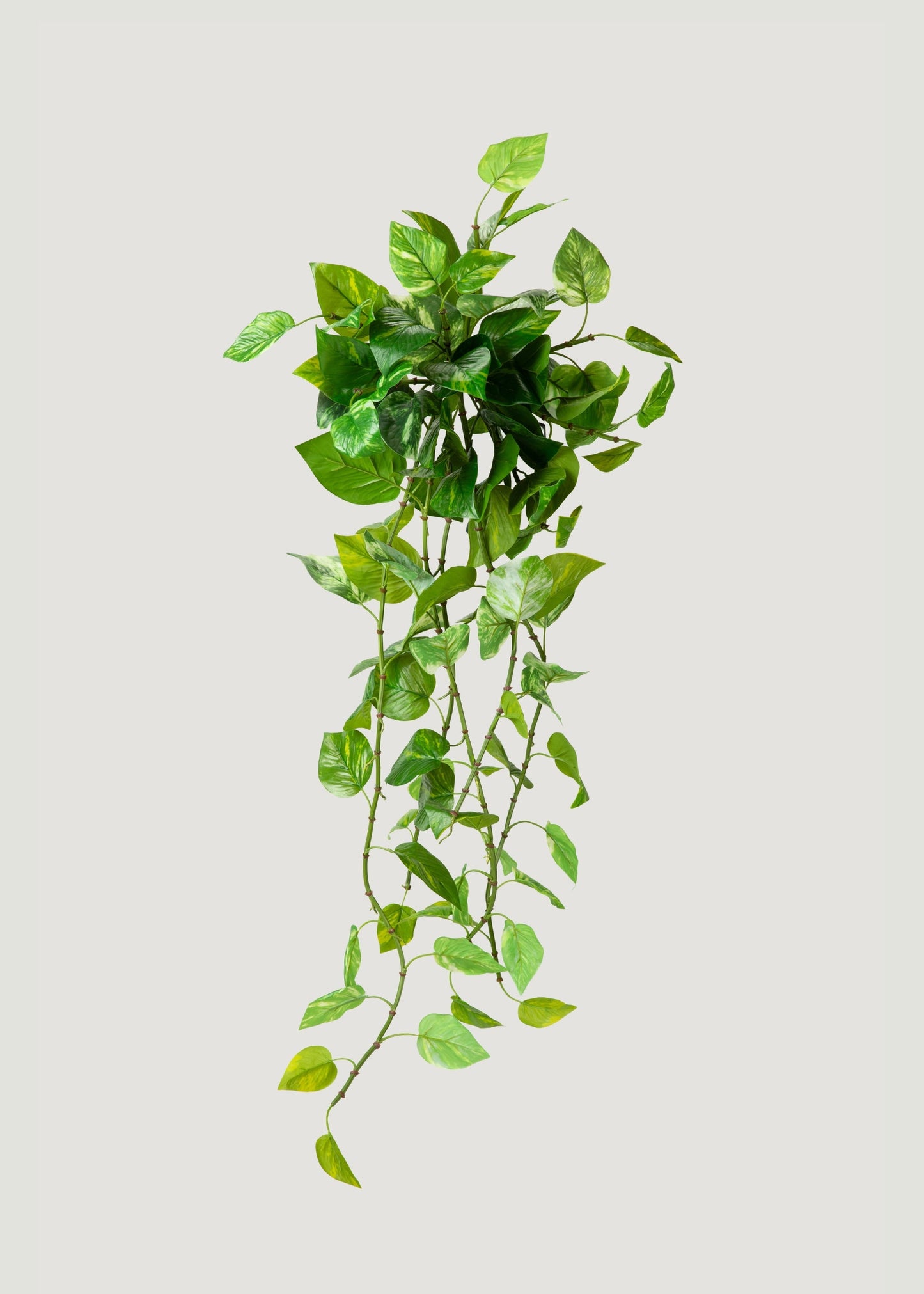 UV Treated Pothos Indoor/Outdoor Natural Touch Hanging Plant - 42"