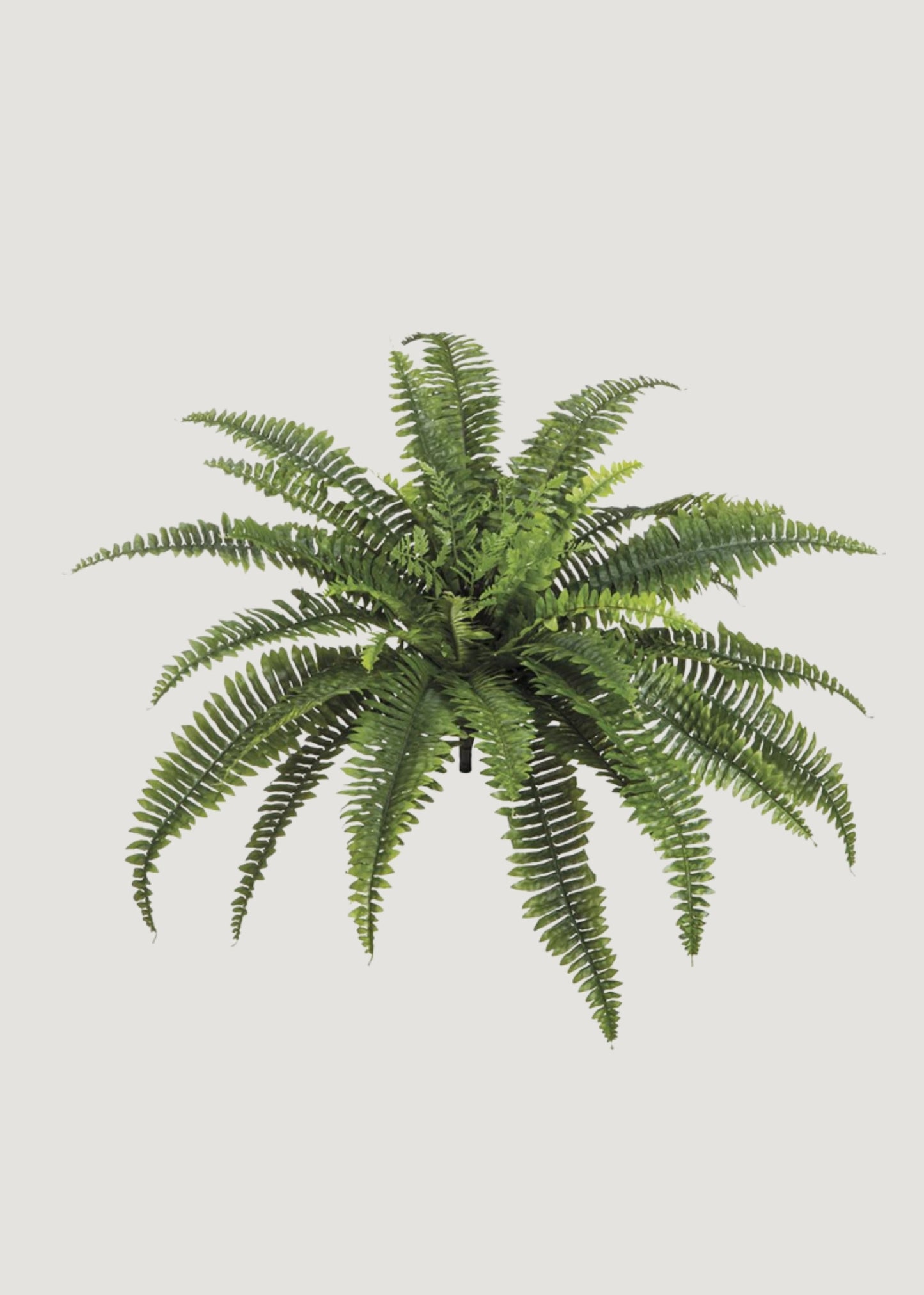 UV Treated Outdoor Fake Hanging Boston Fern Plant - 23"