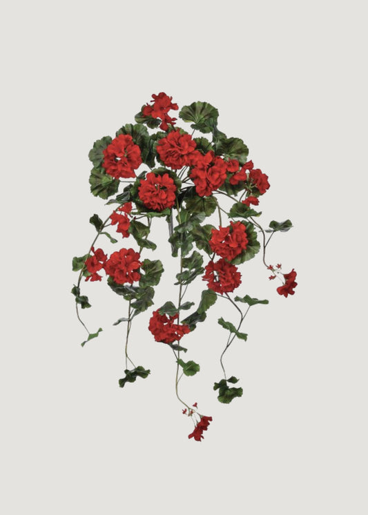 Red UV Treated Indoor/Outdoor Real Touch Geranium Hanging Bush - 36"