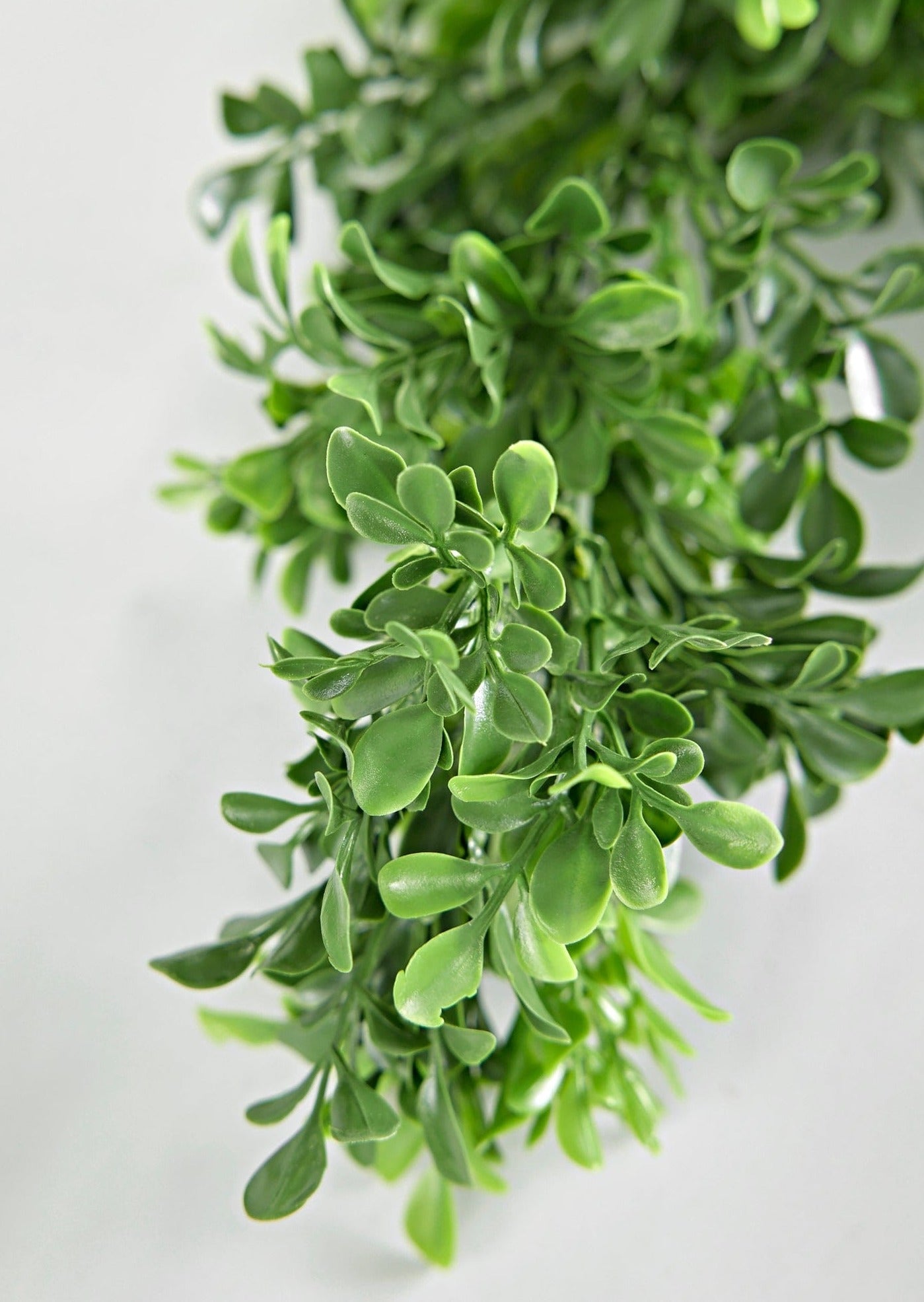 UV Treated Indoor/Covered Outdoor Faux English Boxwood Garland - 72"