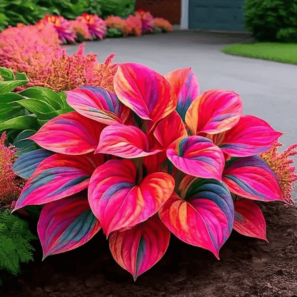 🔥Last day clearance🔥Premium Rare Hosta Seeds🌌Shade-Tolerant Plant