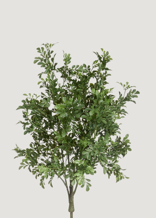 UV Treated Indoor/Outdoor Fake Boxwood Plant - 34"