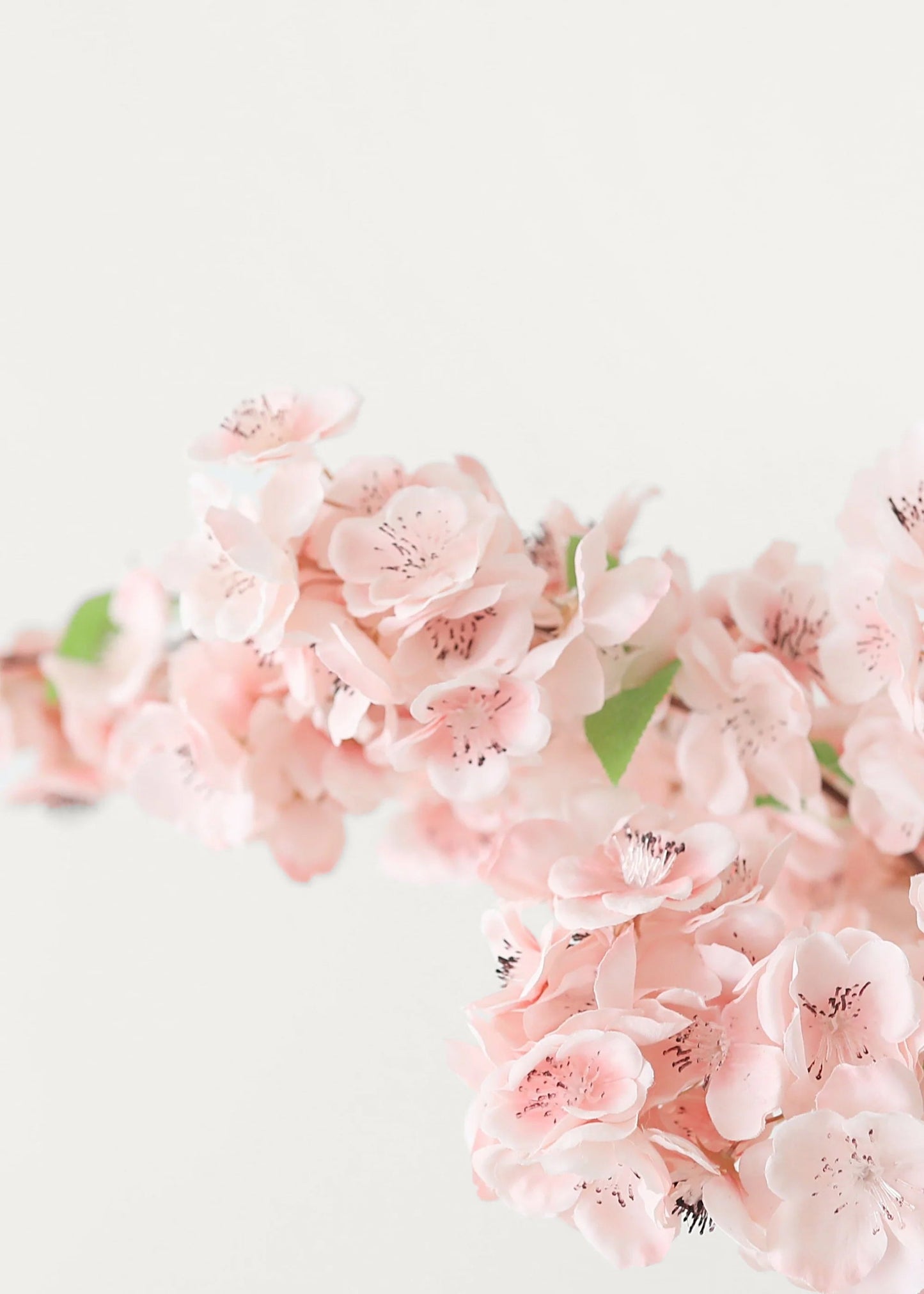 Sale - Faux Cherry Blossom in Pink - 44"