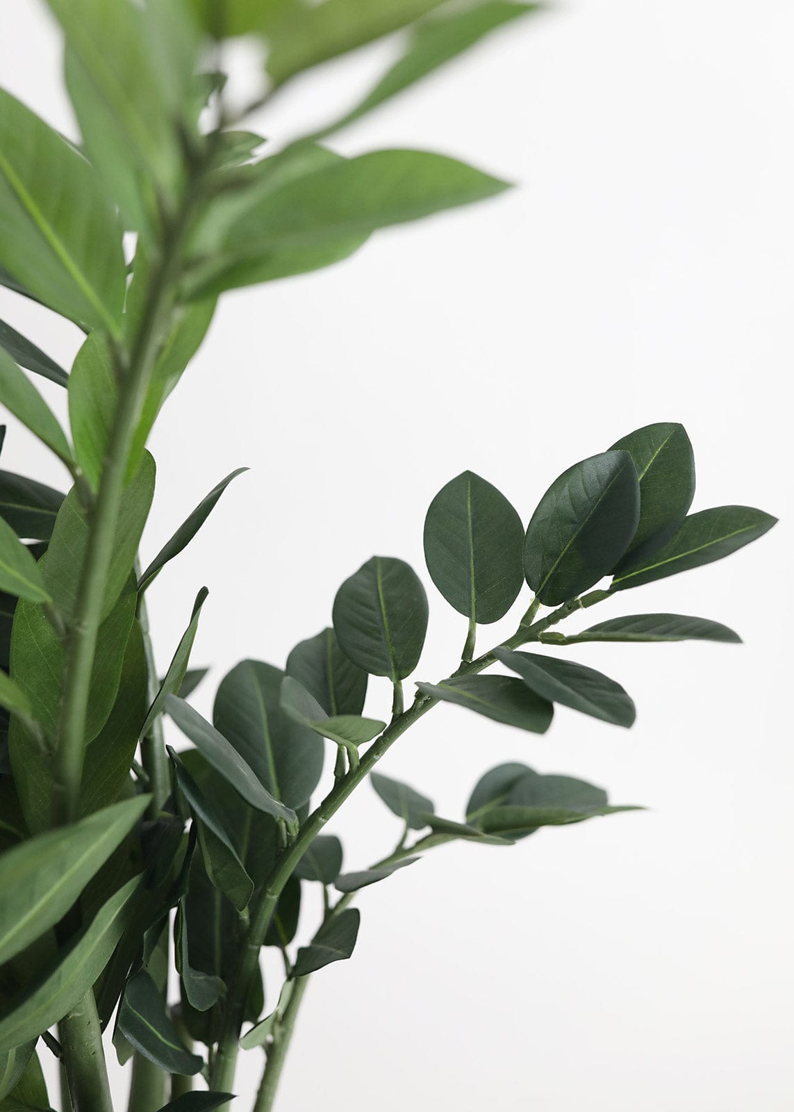 Fake UV Resistant Indoor/Outdoor Potted ZZ Plant - 31"