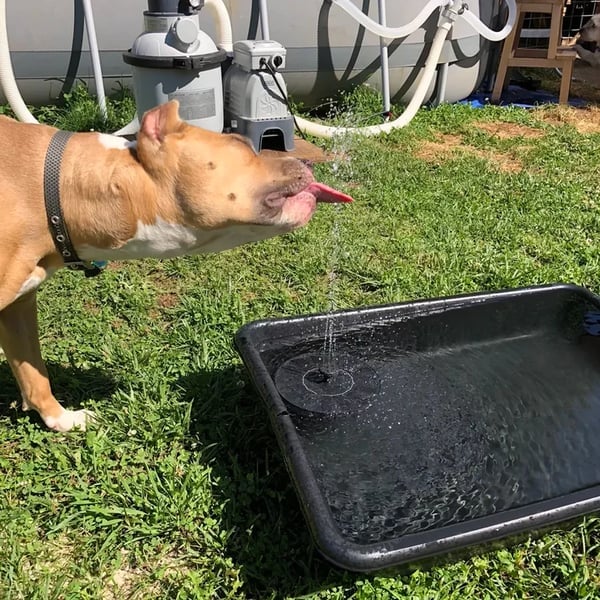 💥Buy 2 Free Shipping💥Solar Powered Water Fountain
