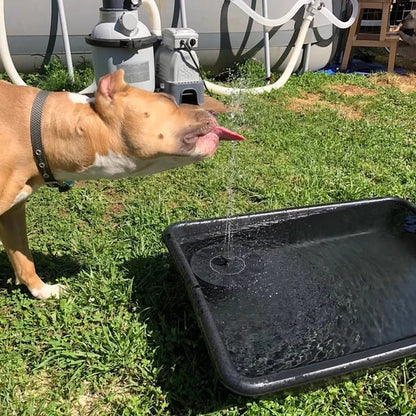 💥Buy 2 Free Shipping💥Solar Powered Water Fountain