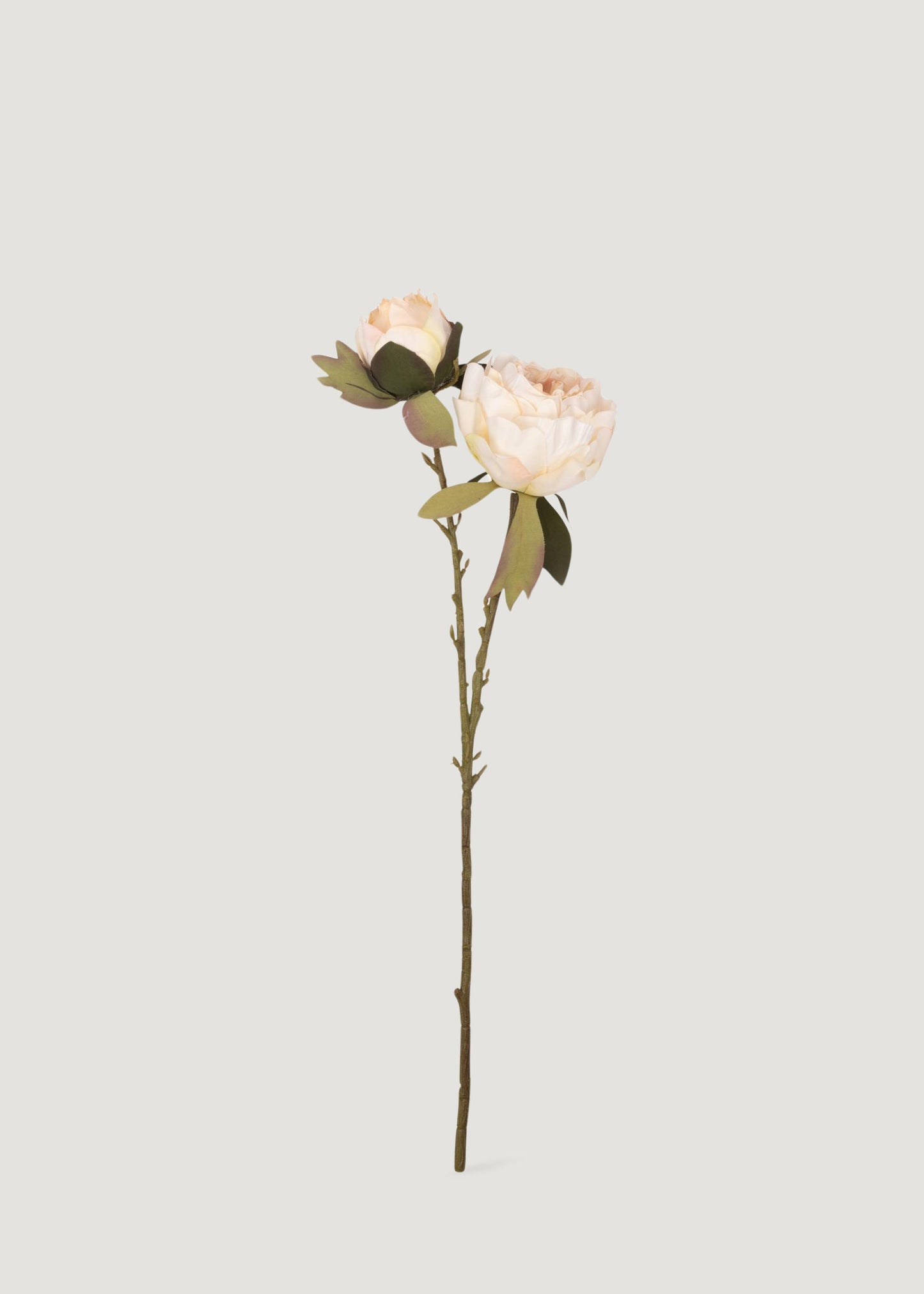 Artificial Peony Flower in Blush - 21.5"