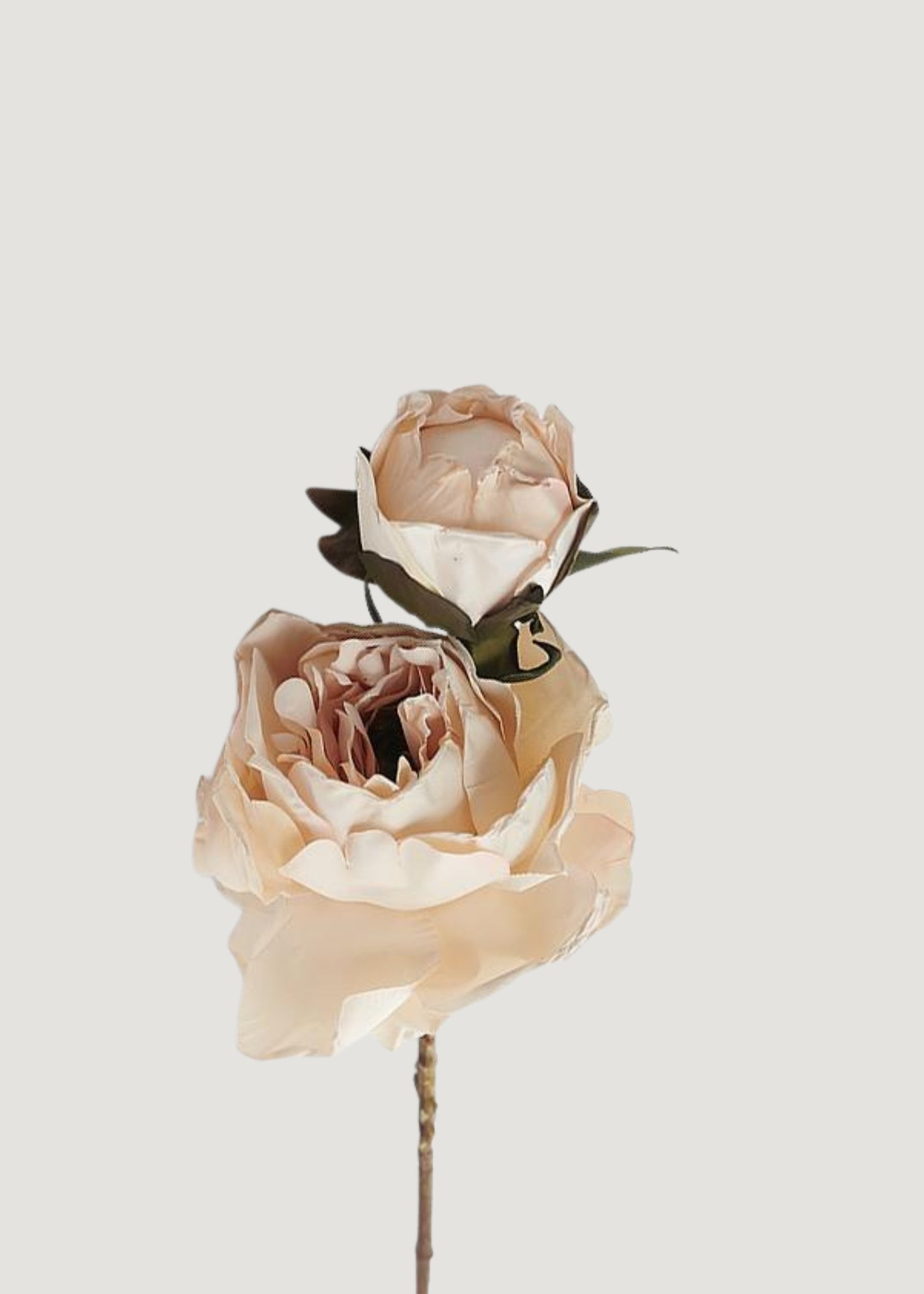 Artificial Peony Flower in Blush - 21.5"