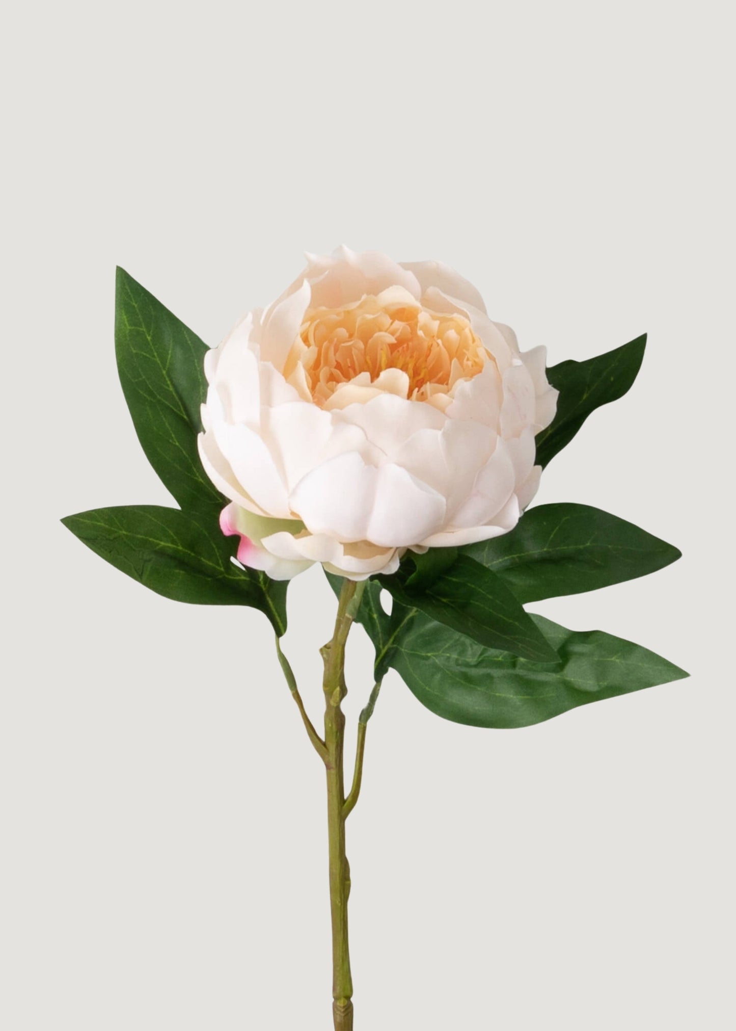 Peach Artificial Peony Flower - 23"